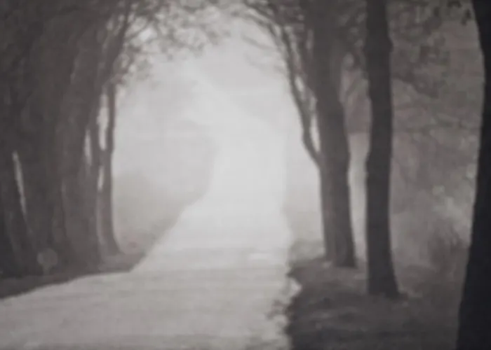 Appartement On Boulevard Gdynia